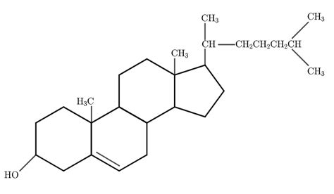 cholesterol is quizlet|select the functions of cholesterol.